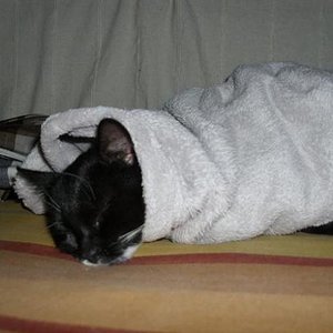 Decken haben eine magische Anziehungskraft... ;)