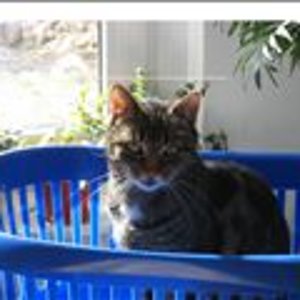 vcm s kf m160 160x120