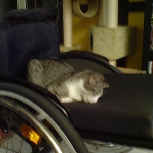 ich glaube sie ist eingeschlafen