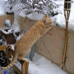 was ist das denn? ..öööh Schnee ...