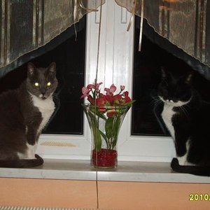 Symmetrie ist alles ;)