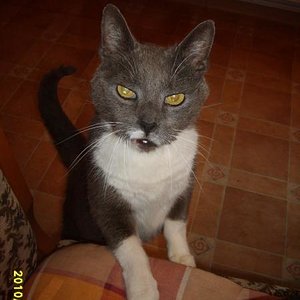 Wie immer: neben dem Stuhl meiner Mutter