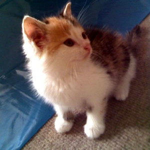 Oktober 2008 Das Internet-"Bewerbungsfoto" von Trinity: Liebe auf den ersten Blick ;-)