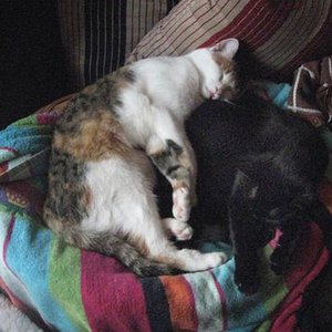 16. Juni 2009 - Siba und Trinchen, Yin & Yang