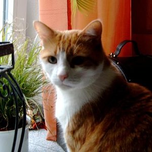 Feger, der 2005 an Krebs verstorben ist. Bereiste mit uns u.a. drei Jahre die USA. War so ein treuer Kerl!