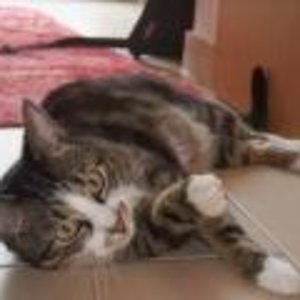 Januar2011 Lui kleineDatei1