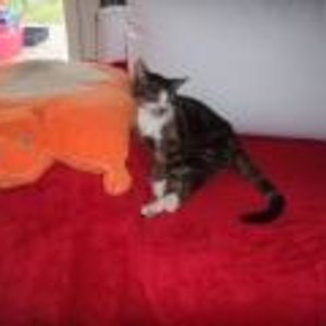 Januar2011 Lui kleine Datei2