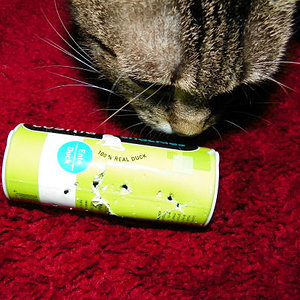 So sehen die Cosma Snackies aus, NACHDEM Raven sie bearbeitet hat!