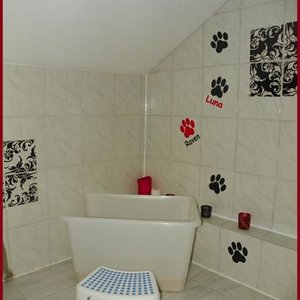 Die neue Miezi-Toilette :-)
Eine von 3...