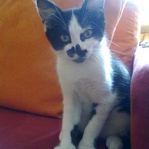 Was denn das für´n Knipsdingens da Dosi?