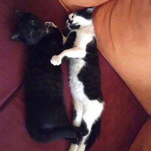 Maaannn.. Dosi... Joe will schon wieder schlafen... Frechheit ;)