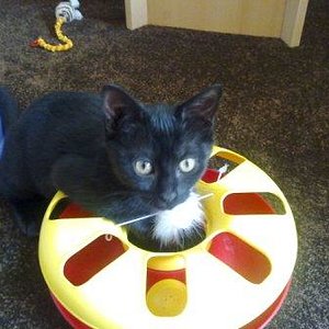 Uiii... das macht Spaß