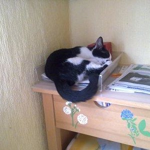 schlafen kann man überall ;)