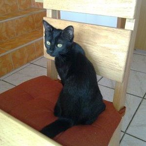 was iiiiiiissssssssss? ;)