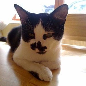 schon wieder dieses Knipsdings...