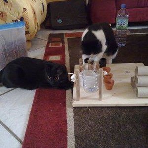 so ein tolles Fummelbrett haben wir gebastelt :)