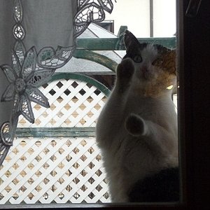 Halloo jemand zuhause