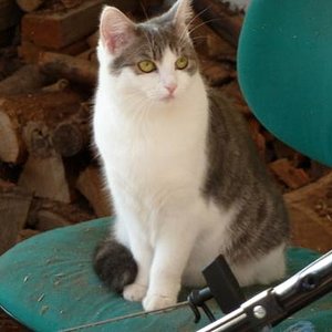 Kitty von Tiefenbach Januar 2011