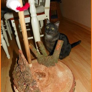 Der neue Kratz-Klotz!