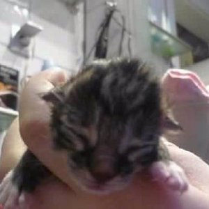 30min nach der Geburt ^^