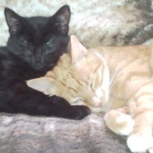 Kuscheln ist schön :)
(auch wenn's das selten gab)