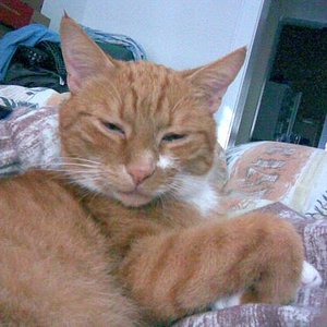 hui...kuscheln im Bett
(nach Umzug)