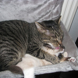 Miki und Coco (da war sie erst 1 Woche bei uns)