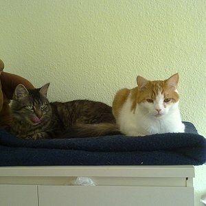 Wenn sie mal nicht streiten  ,entstehen solche Bilder. : )