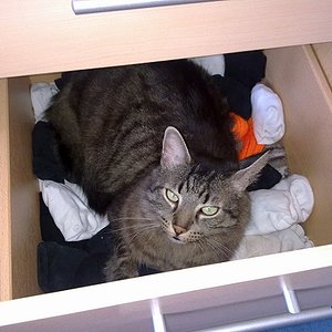 *erwischt* der schieber aufmacher