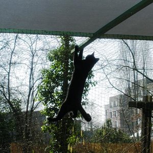 Benny der Cliffhanger