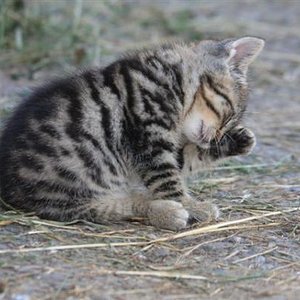 d' Calimera noch ganz klein