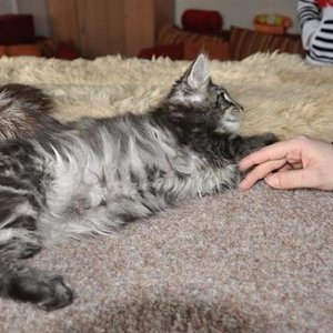 Mr.NoName macht sich lang...Hier haben wir ihn abgeholt und der Kleine hatte noch keinen Namen.