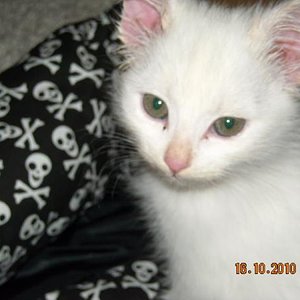 nachm ersten tierarzt besuch...