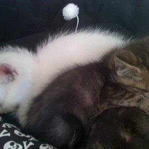 aaaallererstes foto =) (oktober 10)