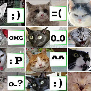 das sind mal Katzen Smileys