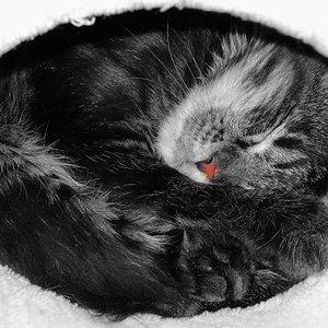 sie passt noch rein:-)