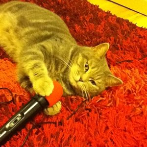 Beim 'Guitar Hero' spielen. :D