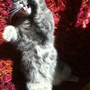 Zufällig aufgenommen.