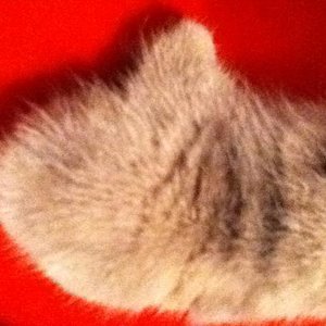 Ich weis nicht wie sie das gemacht hat. ;D
*daumen hoch*