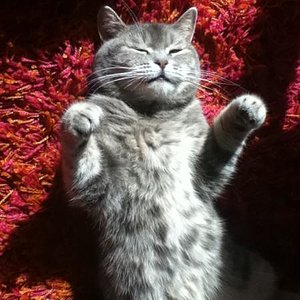 So liegt sie meistens mitten im Flur herum. :D