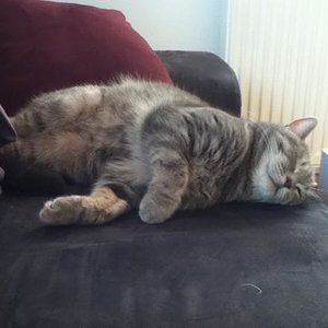 Keine Beschreibung nötig. ^^