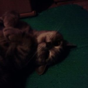 Das hier ist schon etwas älter. C: