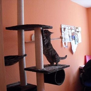 k Minka u. ihr neuer KB 132