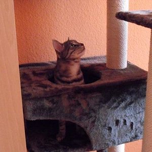 k Minka u. ihr neuer KB 136