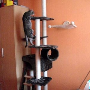 k Minka u. ihr neuer KB 141