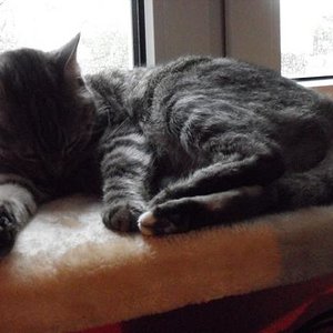 k Minka u. ihr neuer KB 062