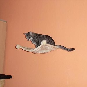 k Minka u. ihr neuer KB 079