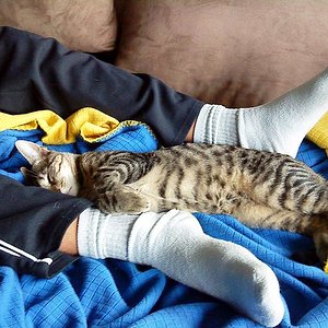 Baby-Anton schläft an Papa´s Stinkefüssen