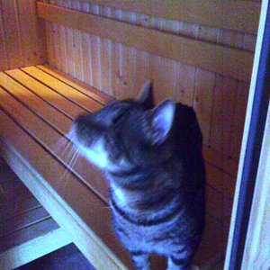 Ja, Paul sauniert auch manchmal. Er muss sich halt auch wo entspannen...