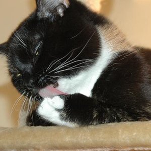 Pflege ist wichtig;)